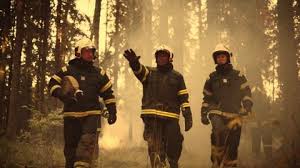 The Elite Firefighters: Stories from Hotshot Crews