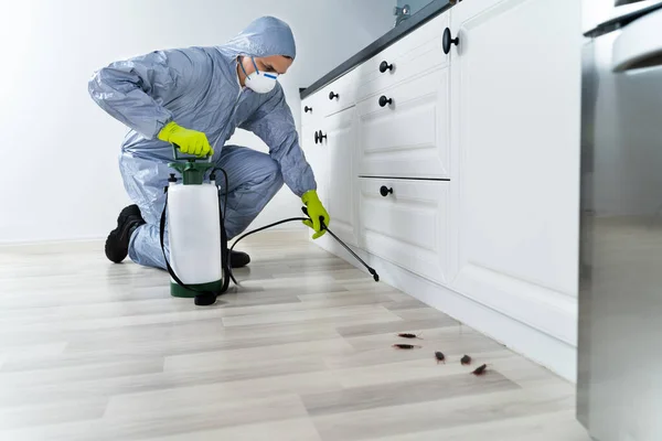 Ultimate Pest Control Services Guide