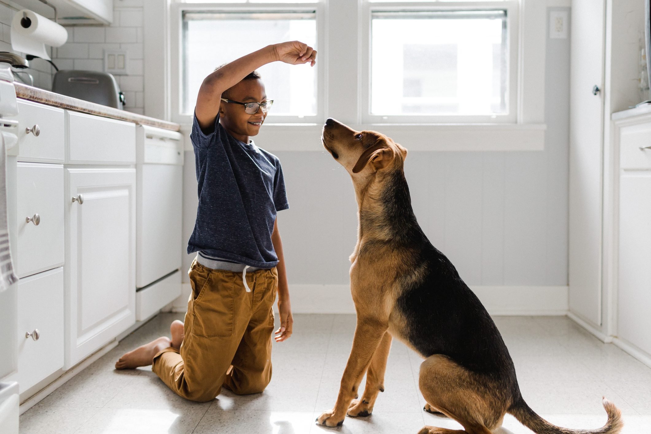 The Best Dog Trainer: Expert Tips For Training Your Pup